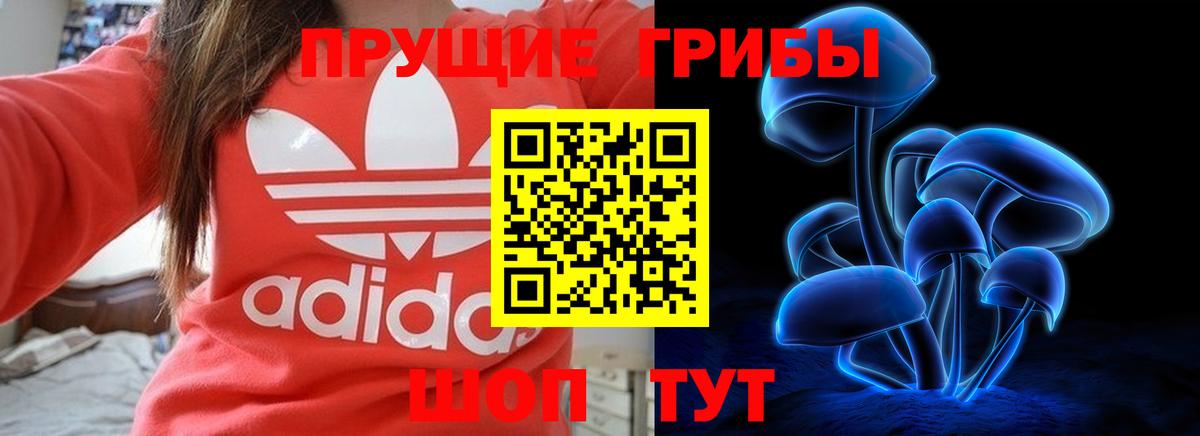 Алексин  Псилоцибиновые грибы Psilocybine cubensis  Галлюциногенные грибы Psilocybine cubensis  Вход с VPN 